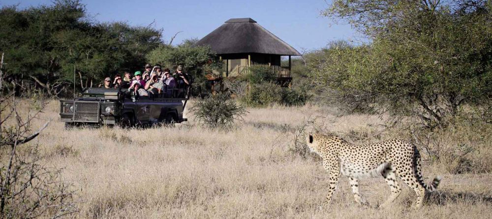nThambo Tree Camp - Image 4