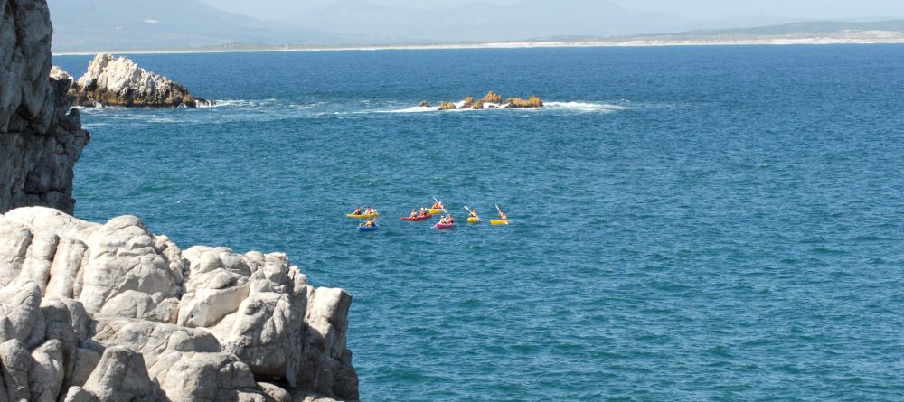 Ocean Eleven Guesthouse - Whales and Kayaks - Image 9