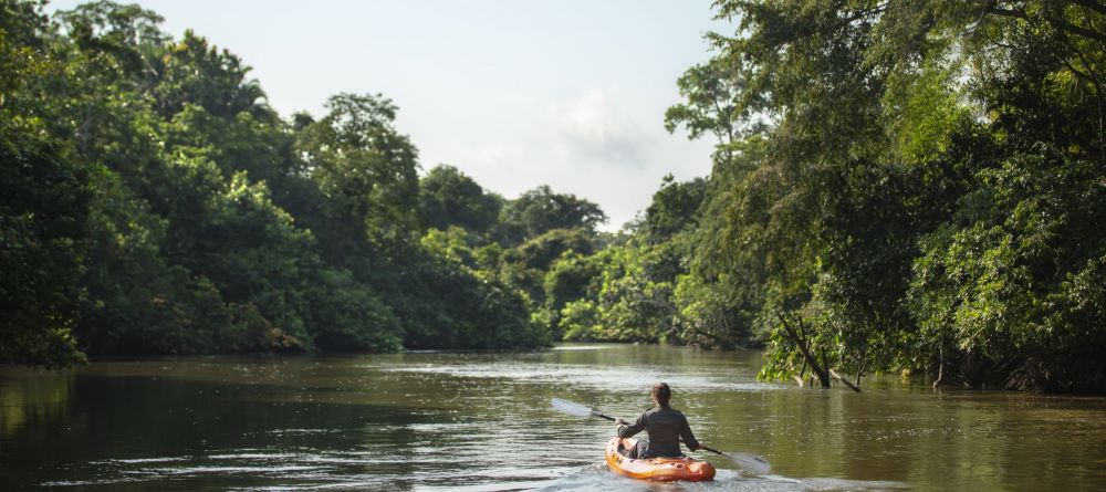 Lango Camp, Odzala National Park, Republic of Congo - Image 27