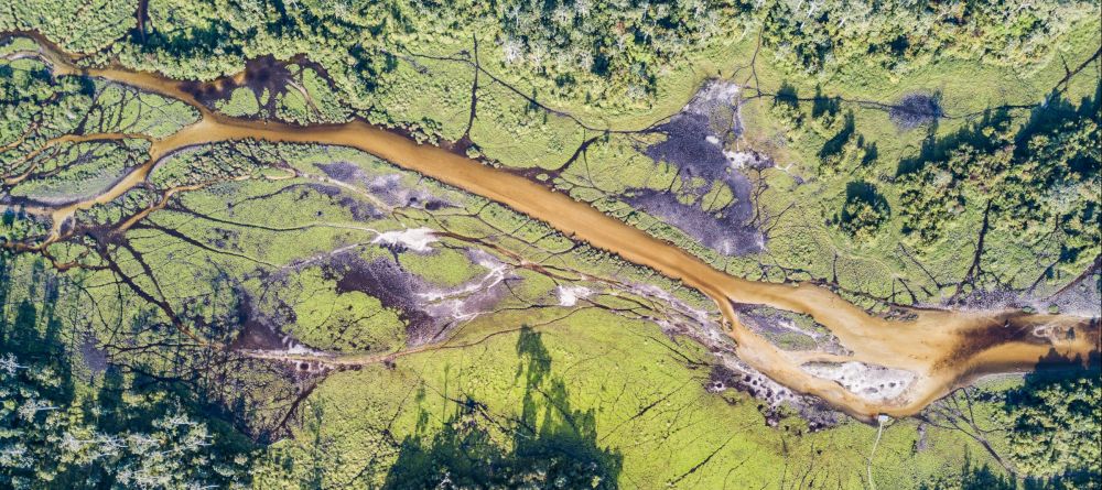 Lango Camp, Odzala National Park, Republic of Congo - Image 31