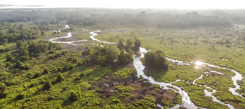 Lango Camp, Odzala National Park, Republic of Congo - Image 33