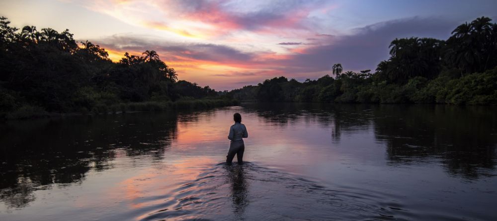 Lango Camp, Odzala National Park, Republic of Congo - Image 2