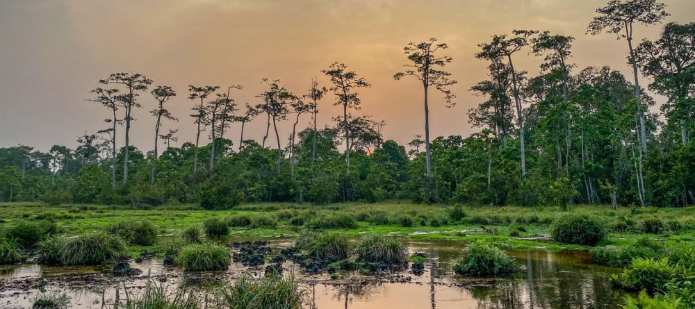 Lango Camp, Odzala National Park, Republic of Congo - Image 4