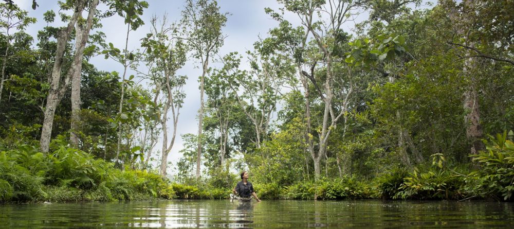 Lango Camp, Odzala National Park, Republic of Congo - Image 6