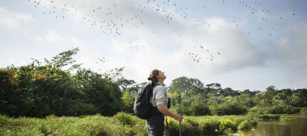 Lango Camp, Odzala National Park, Republic of Congo - Image 10