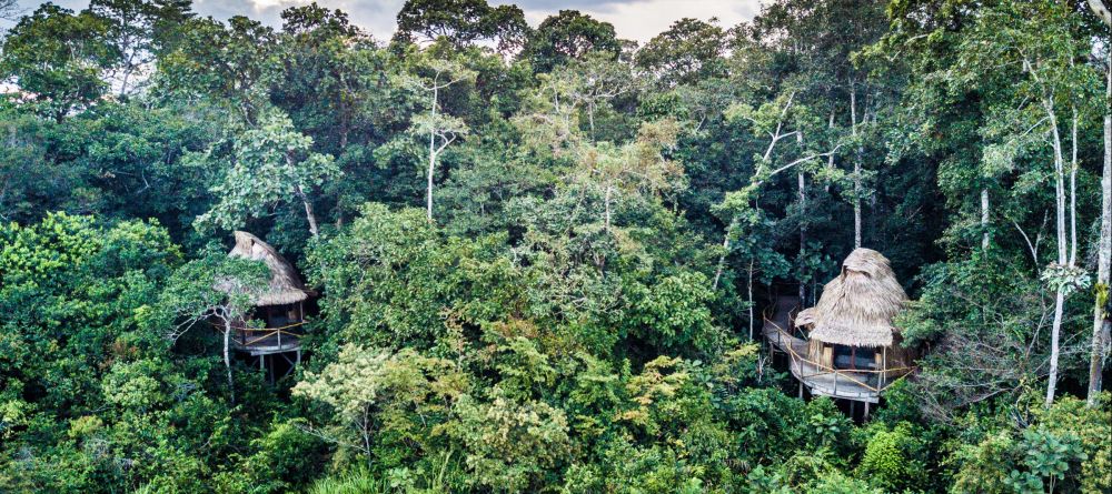 Lango Camp, Odzala National Park, Republic of Congo - Image 7