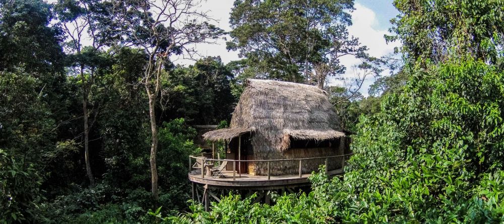 Ngaga Camp, Odzala National Park, Republic of Congo - Image 2