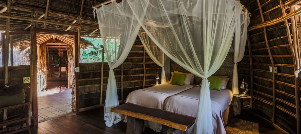 Ngaga Camp, Odzala National Park, Republic of Congo - Image 21