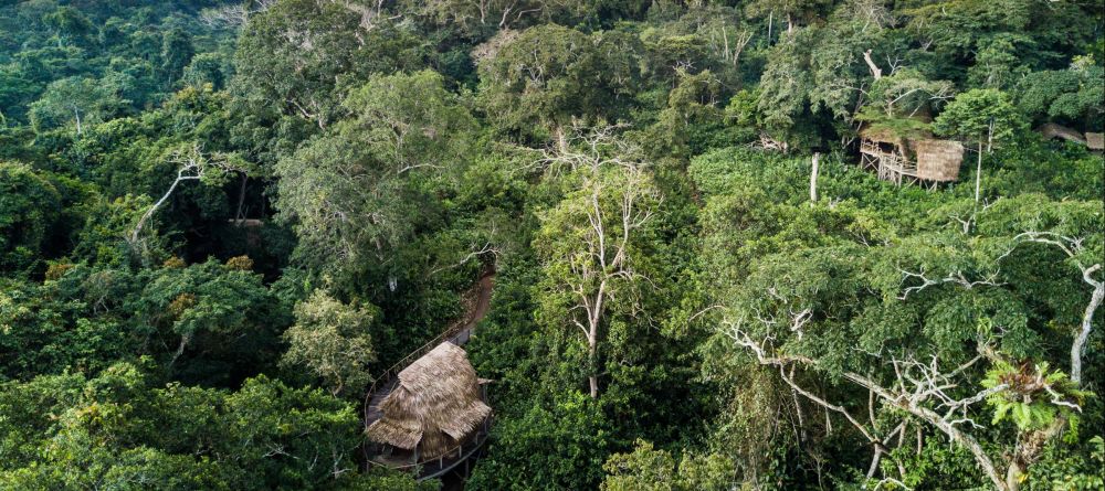 Ngaga Camp, Odzala National Park, Republic of Congo - Image 12