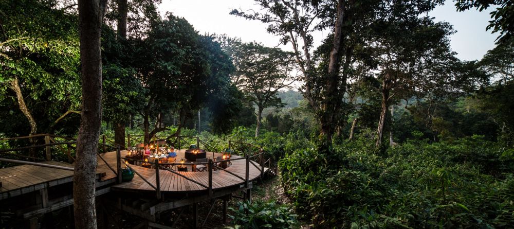 Ngaga Camp, Odzala National Park, Republic of Congo - Image 13