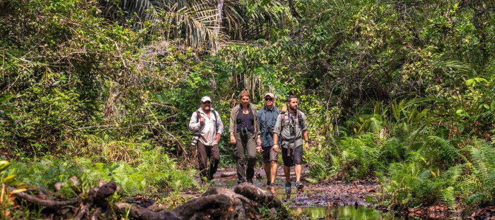 Mboko Camp, Odzala National Park, Republic of Congo - Image 7