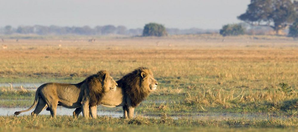 Botswana Adventurer Safari - Image 4