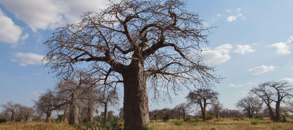 The Old Farm House - Image 1