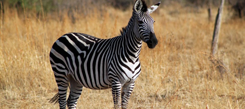 The Old Farm House - Image 4