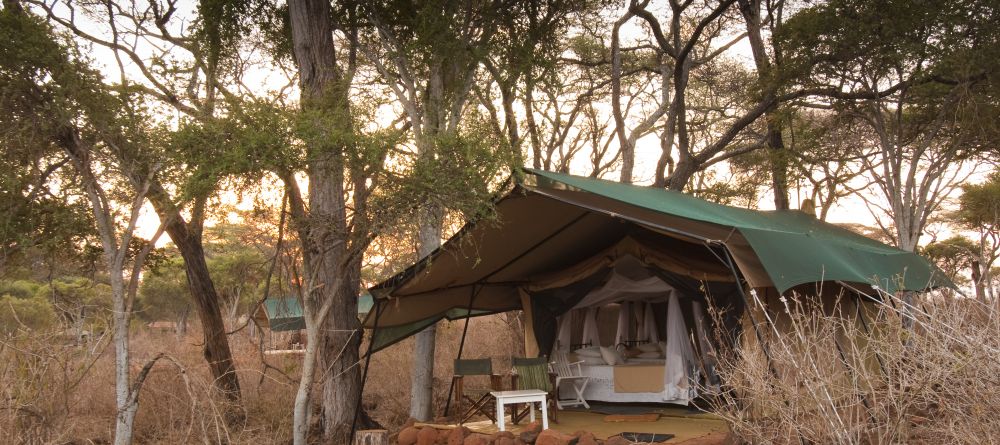 Offbeat Meru Camp, Meru National Park, Kenya - Image 6