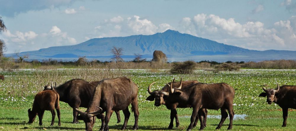 Olerai House - Image 1