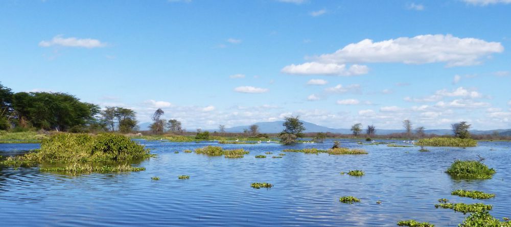 Olerai House - Image 3