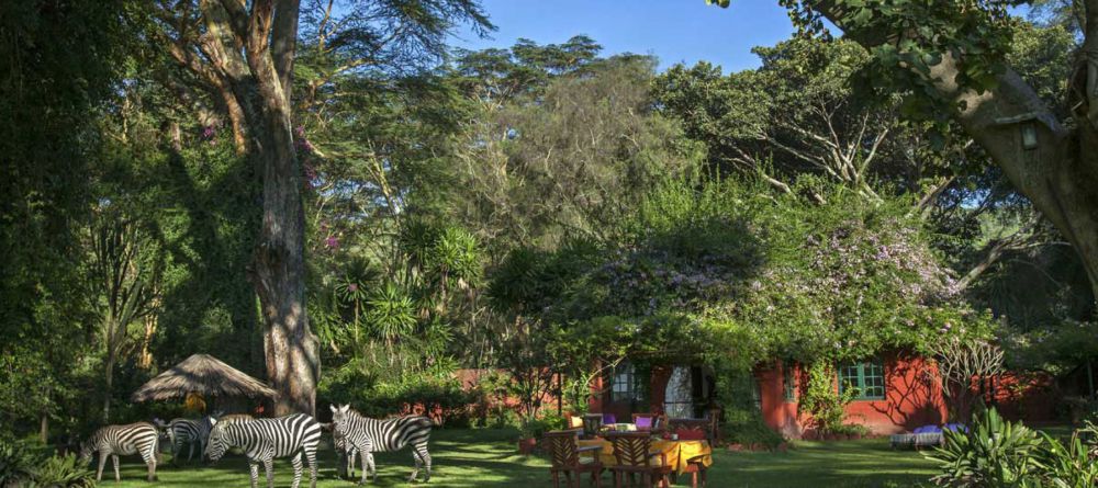 Olerai House - Image 2