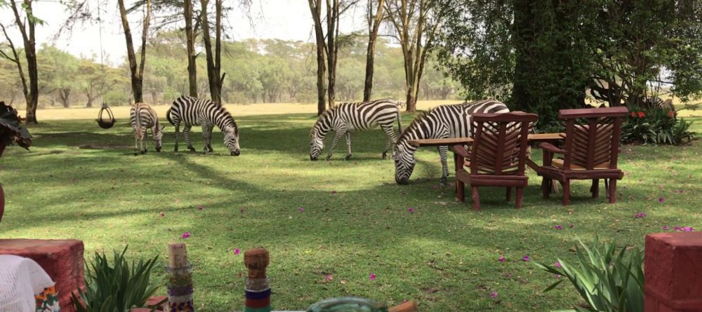 Olerai House - Image 4