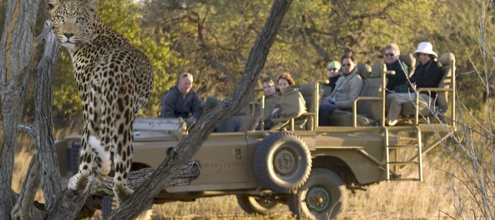 Okonjima Luxury Bush Lodge, Okonjima, Namibia - Image 10