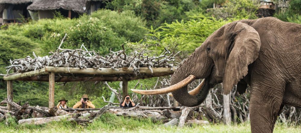 Ol Donyo Lodge, Chyulu Hills, Kenya - Image 18