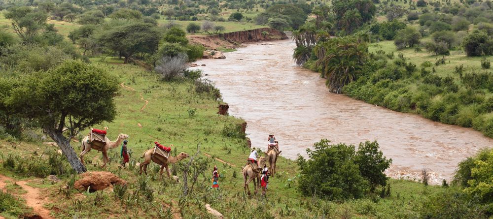 The Sanctuary at Ol Lentille - Camel Back rides - Image 5