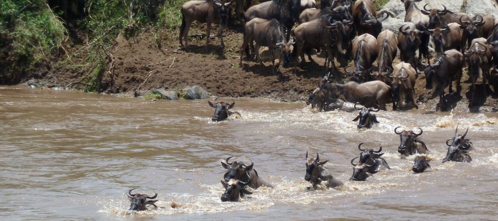 Olakira Tented Camp, Serengeti National Park, Tanzania - Image 8