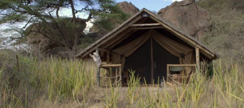 Olduvai Camp - Image 4