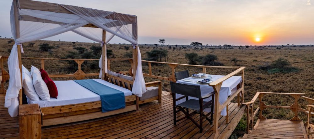 Olmara Star Gazer - Image 2