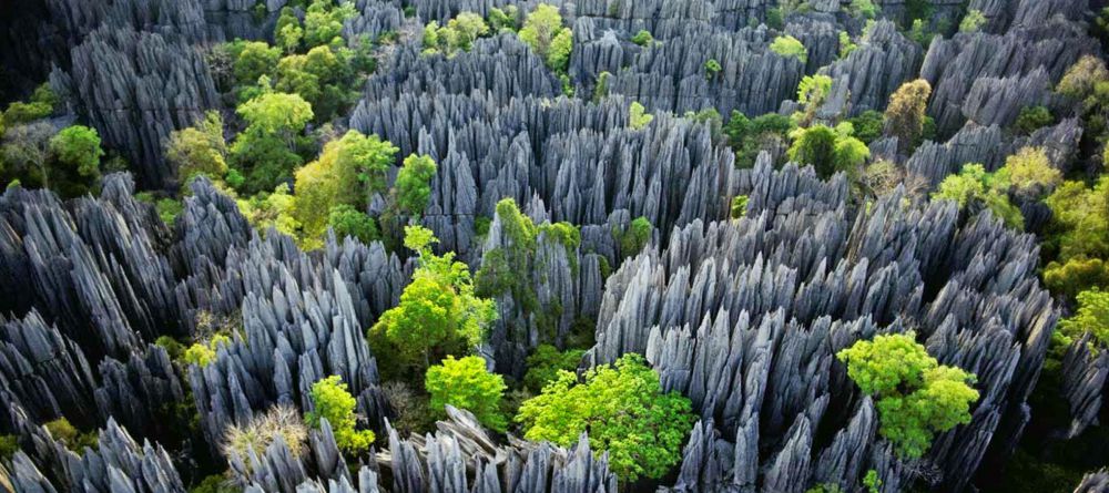 Olympe du Bemaraha - Image 2