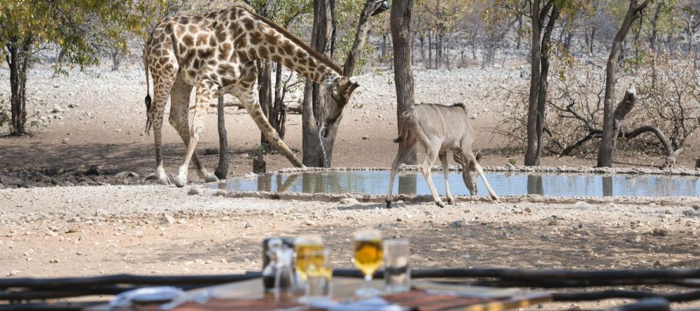 Ongava Tented Camp, Etosha National Park, Namibia - Image 3