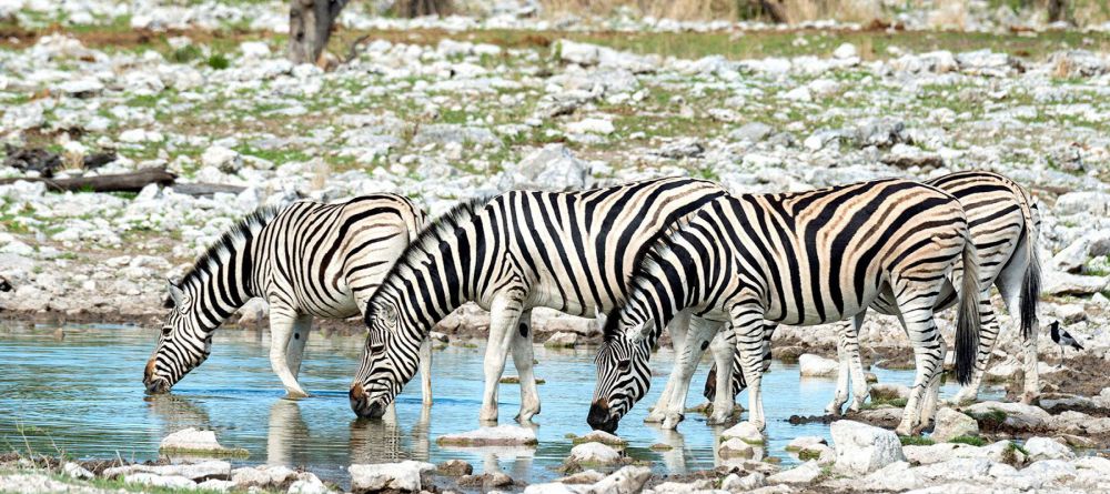 Onguma the Fort - Image 2