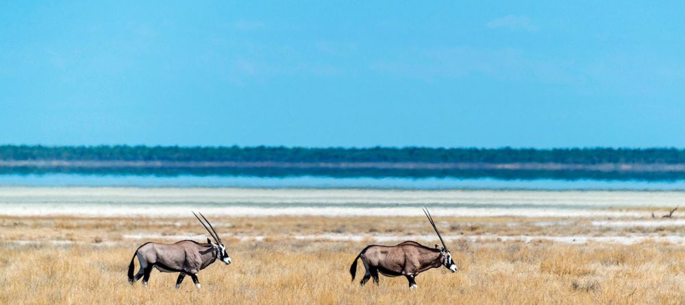 Onguma the Fort - Image 3