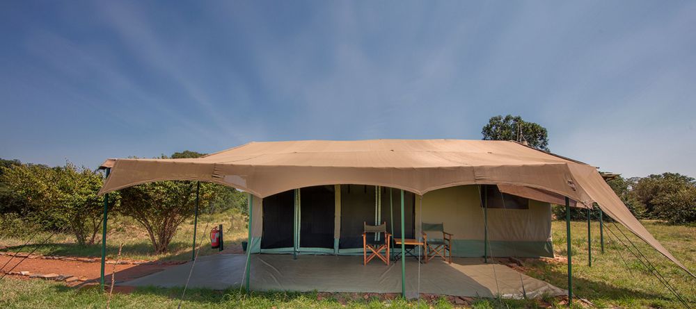 Porini Lion Camp - Image 2