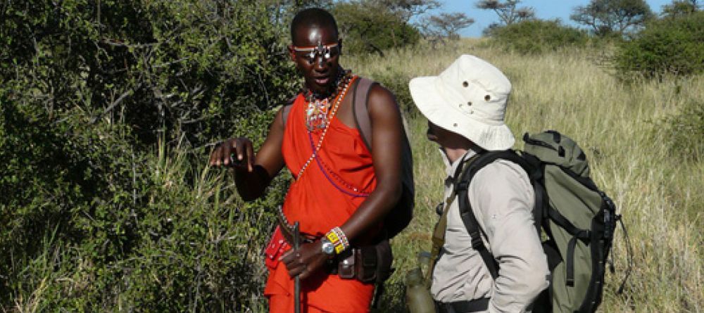 Walking Wild, Lewa Conservancy, South Africa - Image 2
