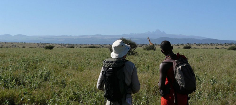 Walking Wild, Lewa Conservancy, South Africa - Image 3