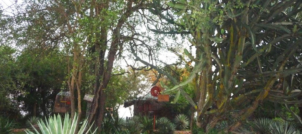 The grounds at Nile Safari Lodge, Murchison National Park, Uganda (Mango Staff photo) - Image 9