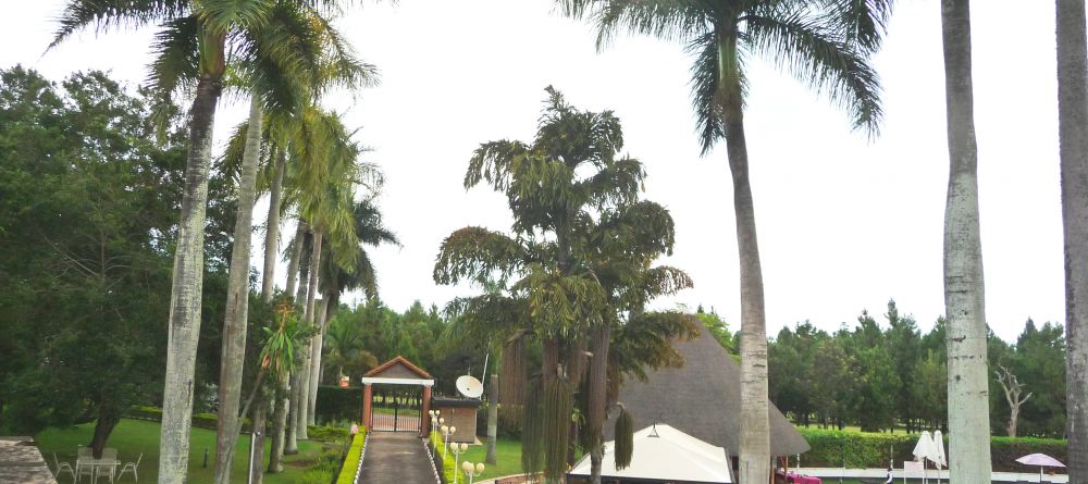 Hotel grounds at Lake Victoria Hotel, Entebbe, Uganda - Image 8