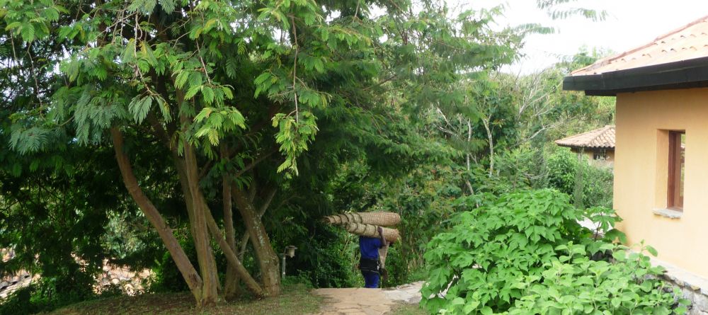 Exterior at Virunga Lodge, Volcanoes National Park, Uganda (Mango Staff photo) - Image 24