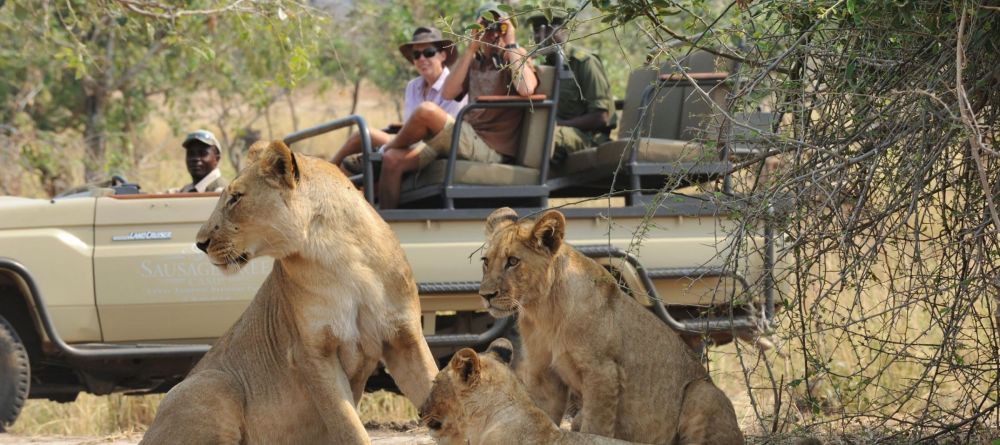 Game drive with lions - Image 10