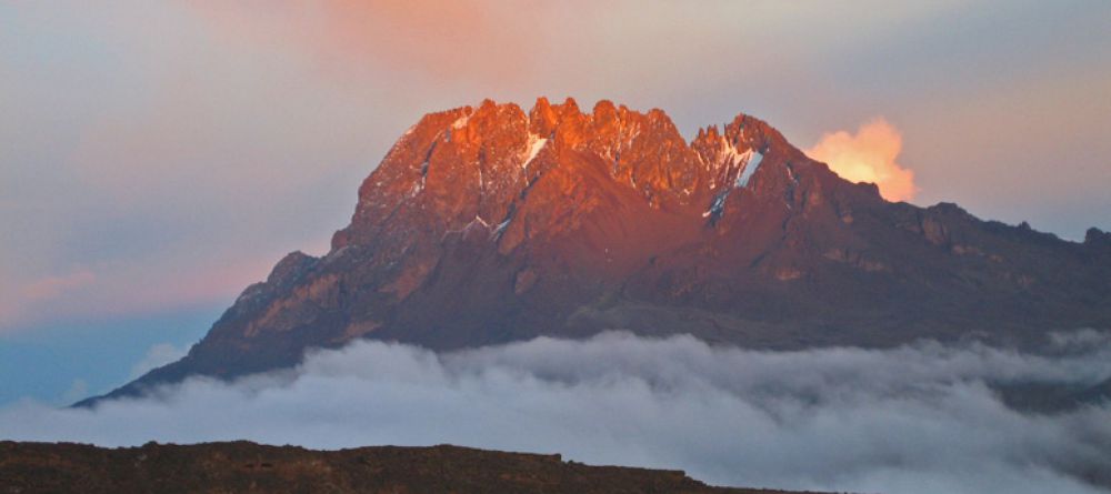Lemosho Route, Kilimanjaro, Tanzania - Image 15