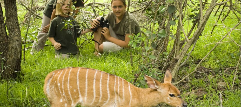 Phinda Mountain Lodge, Phinda Private Game Reserve, South Africa Â© AndBeyond - Image 7