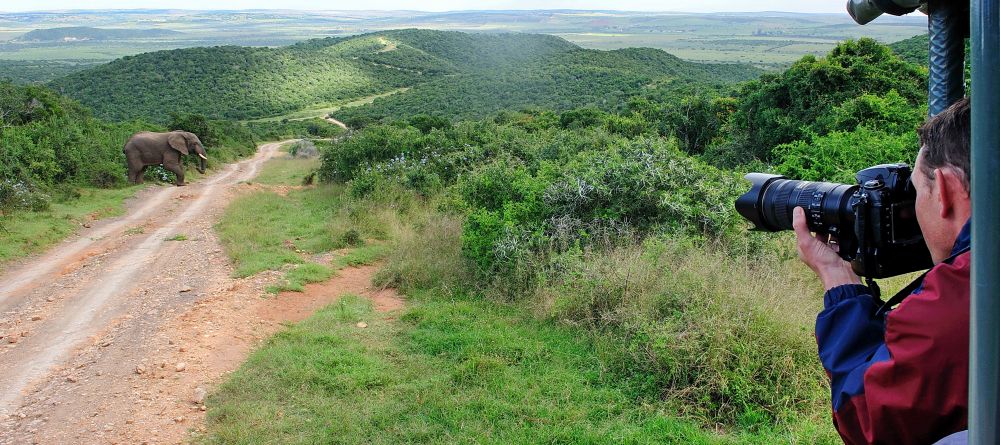 Photographing an elephant at Shamwari Bayethe Tented Lodge, Shamwari Game Reserve, South Africa - Image 2