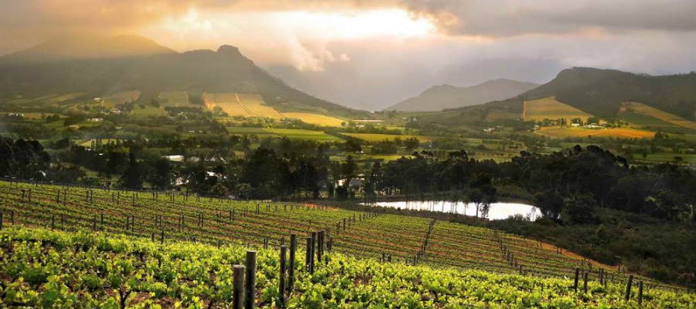 The vineyards and surrounding valley at La Petite Ferme, Franschhoek, South Africa - Image 2