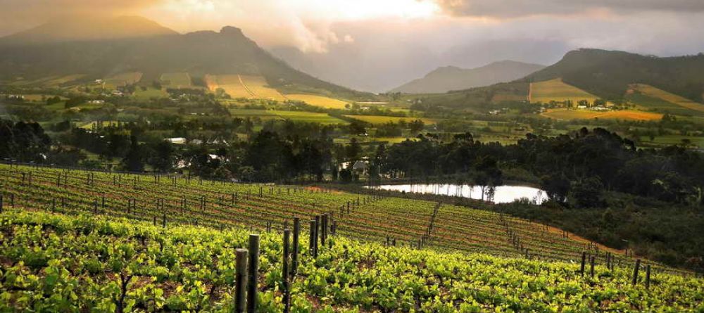 Cape Wine Lands - Image 4