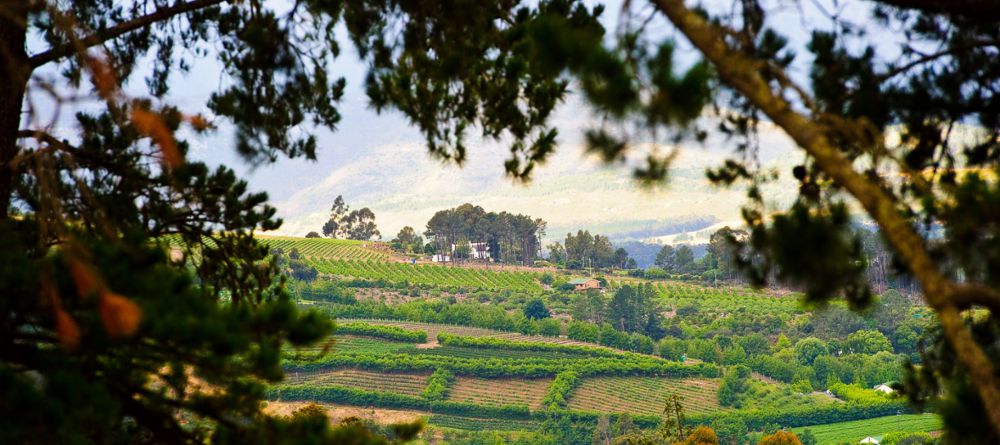 Clouds Estate, Stellenbosch, South Africa - Image 7