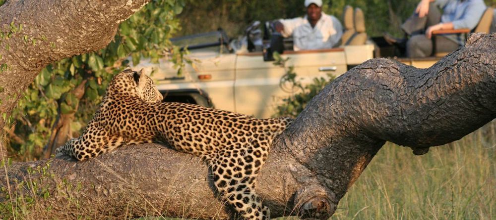 Tintswalo Safari Lodge, Manyaleti Game Reserve, South Africa - Image 6