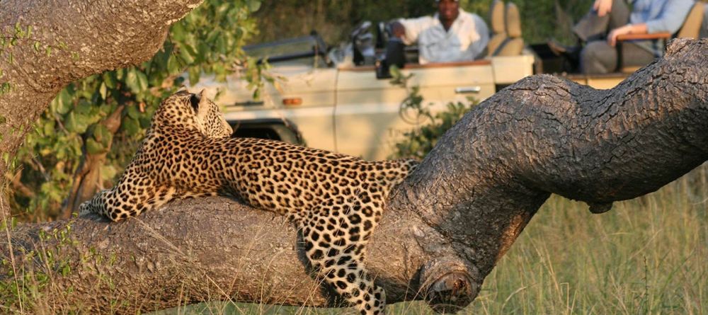 Timbavati Safari Lodge - Image 1