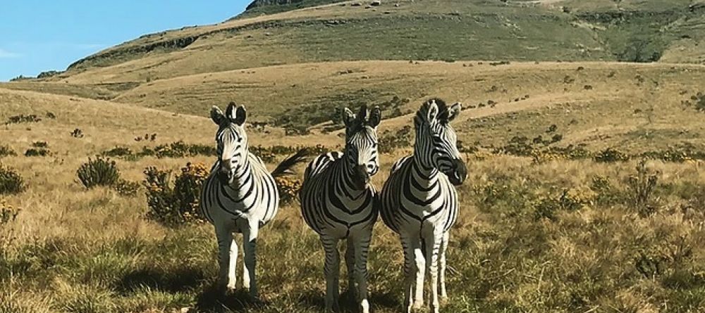 Qambathi Mountain Lodge - Image 1