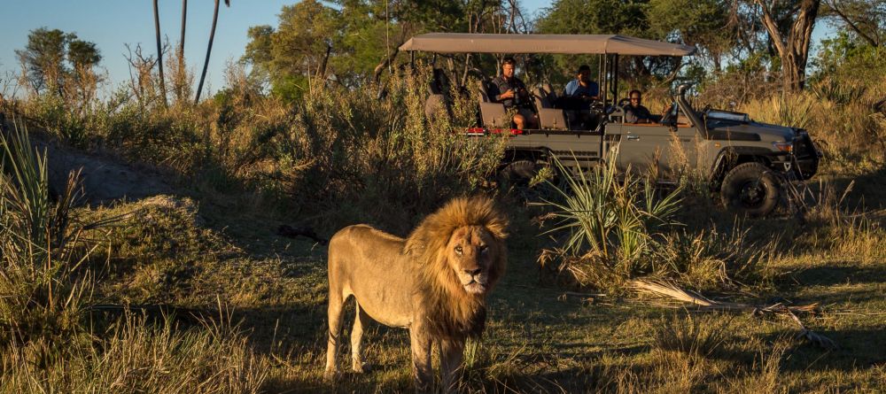Qorokwe Camp - Image 19